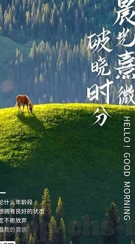 星空体育官网平台下载-星空体育APP下载指南，畅享体育盛宴，尽在掌握